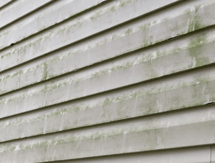How to Clean Mold Off Vinyl Siding – Francaservices.com