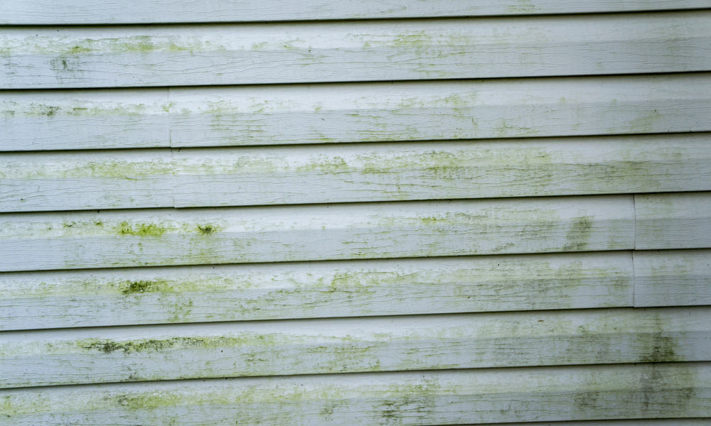 Reasons for Siding Discoloration