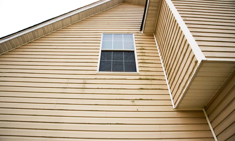 3 Reasons Why Does Mildew Grow on Vinyl Siding (Remove & Prevent Tips)