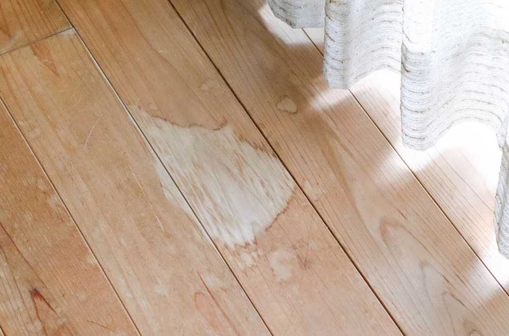 Vinyl Plank Flooring Separating Causes, How To Touch Up Vinyl Flooring