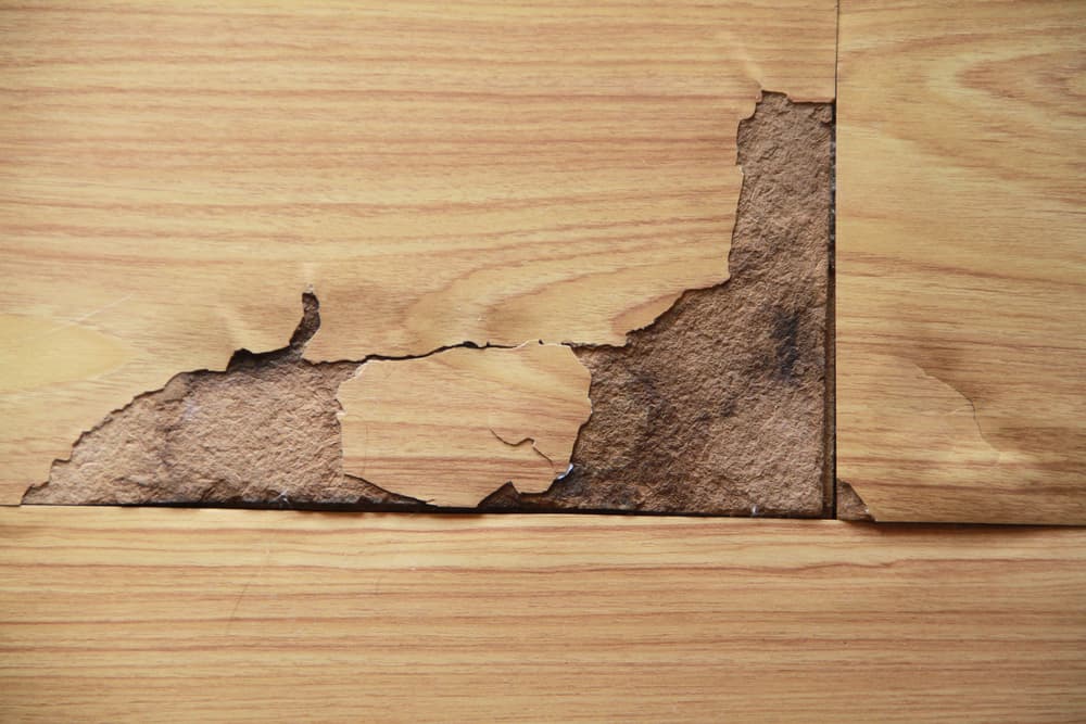 How To Fix Water Damage On Wood Floors