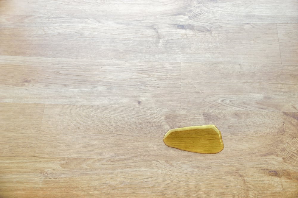 how to get dog pee smell out laminate flooring
