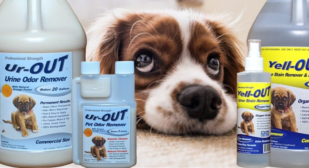 Cleaning Pet Urine from Vinyl Plank Flooring With Commercial Cleaners