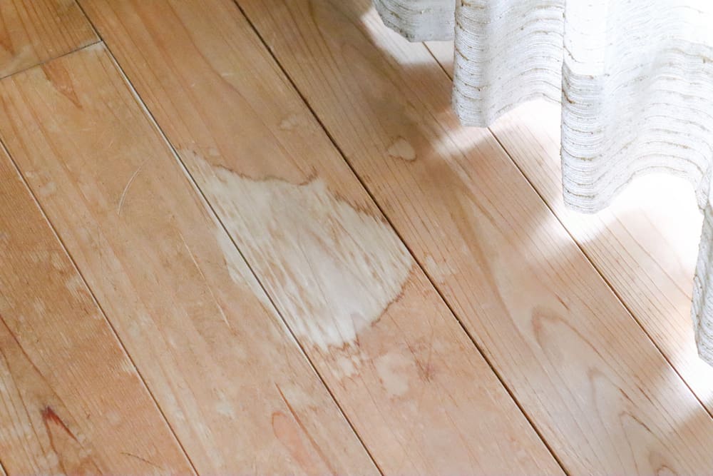 How To Remove Old Cat Urine From Hardwood Floors